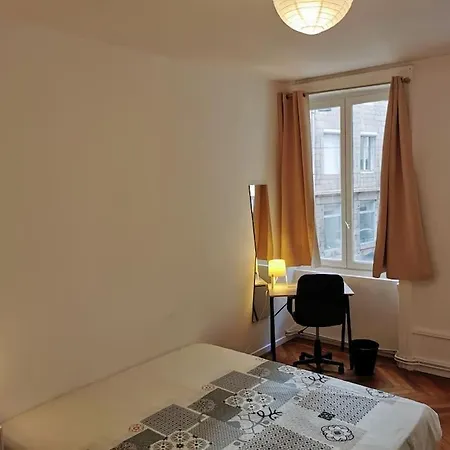 Le Mi Careme Central Et Spacieux Apartment